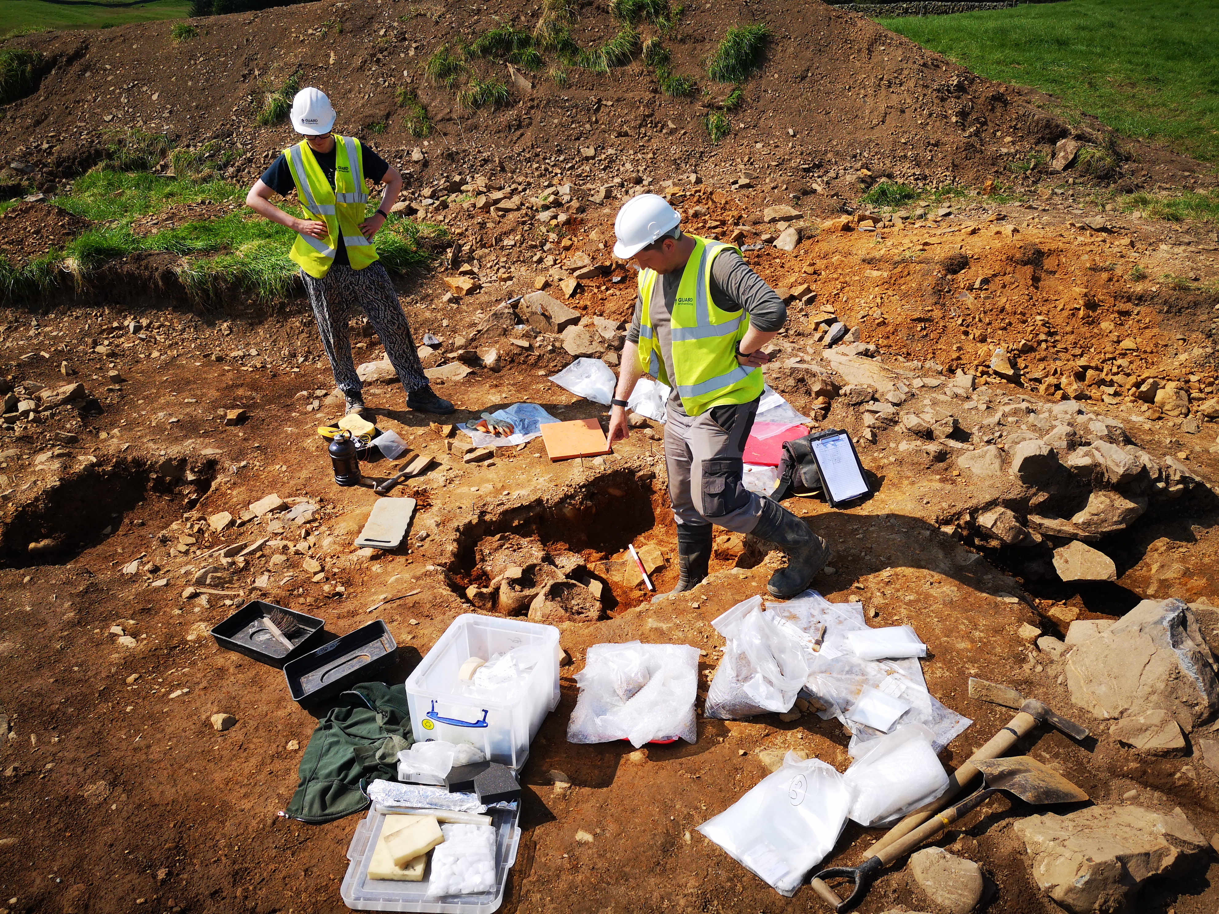 Twentyshilling ring ditch, 2020