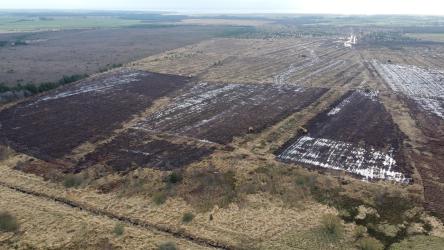 drone photo of the project area